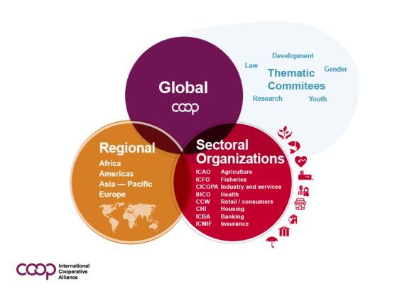 ICA Organigramme